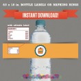 Camp Out / Camping Party Printable Birthday Bottle Labels 