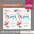 Flamingo Party Invitation with FREE Backside!